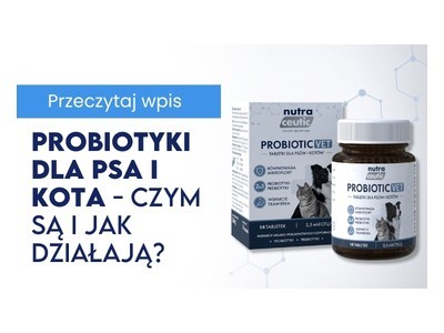 Probiotyki i prebiotyki dla psa i kota - jak działają i dlaczego są tak ważne dla zdrowia jelit?