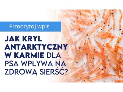 Jak kryl antarktyczny w karmie dla psa wpływa na zdrową sierść? 