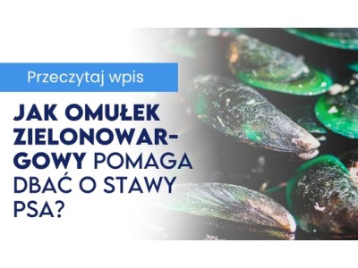 Jak omułek zielonowargowy pomaga dbać o stawy psa ? 