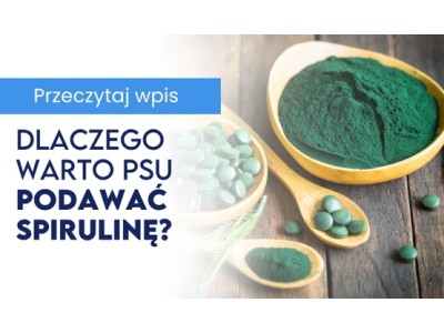 Dlaczego warto podawać psu spirulinę na odporność i świeży oddech?