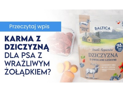 Karma z dziczyzną dla psa z wrażliwym żołądkiem dlaczego to najlepszy wybór? 