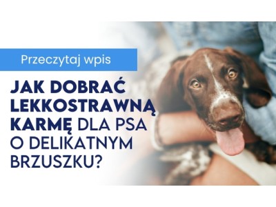 Jak dobrać lekkostrawną karmę dla psa o delikatnym przewodzie pokarmowym 
