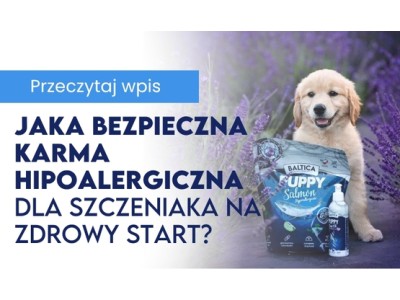 Bezpieczna karma hipoalergiczna dla szczeniaka na zdrowy start 