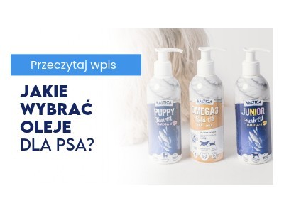 Jakie wybrać oleje dla psa?