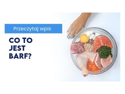 Co to jest BARF?