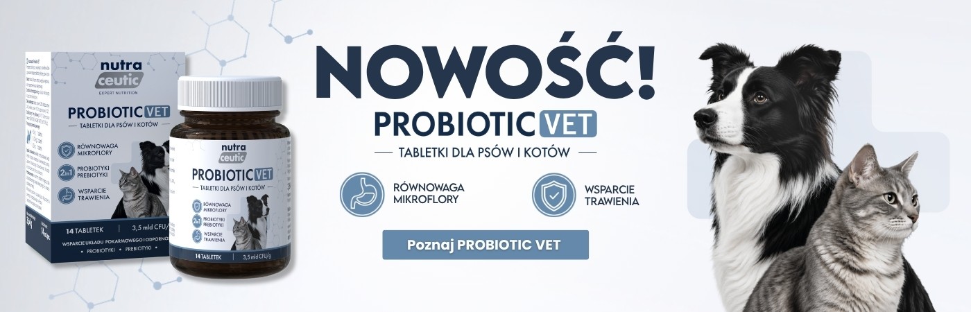 NOWOŚĆ