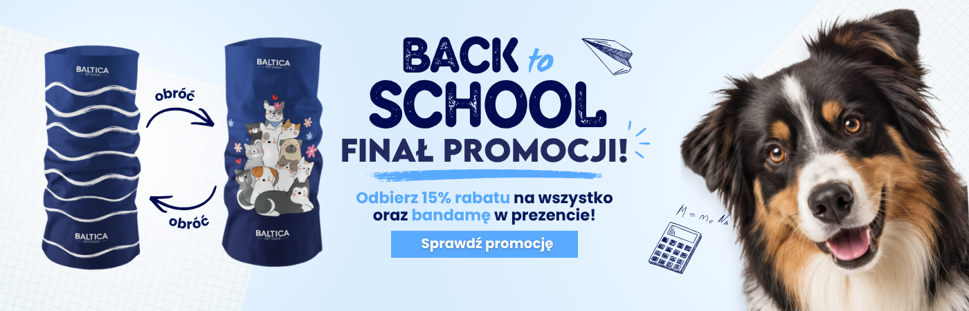 15% na wszystko! 